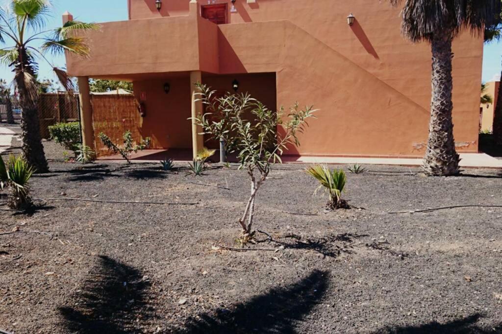 شقة Corralejo- Conform In The City المظهر الخارجي الصورة